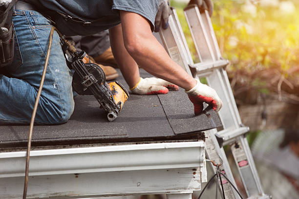 Roof Gutter Cleaning in Potosi, TX